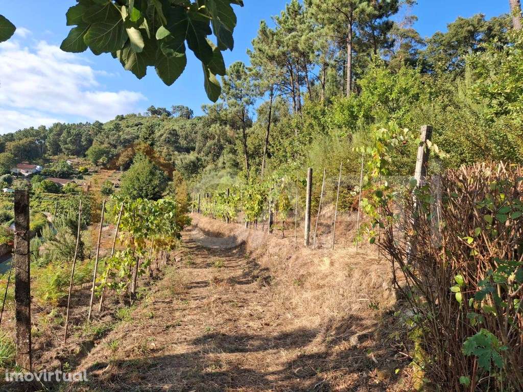 Terreno de construção - Grande imagem: 2/10