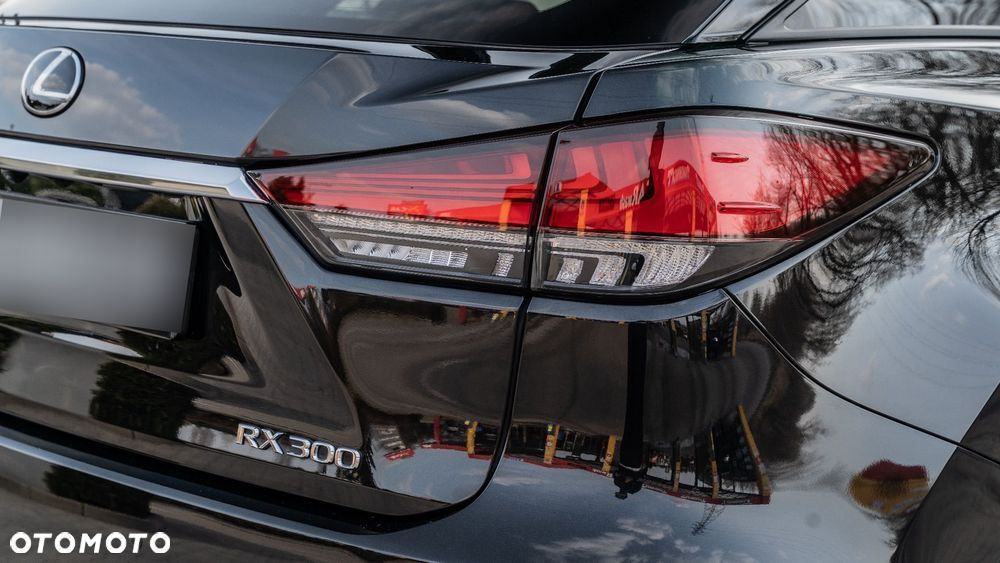 Lexus RX 300 Business Edition + - 4