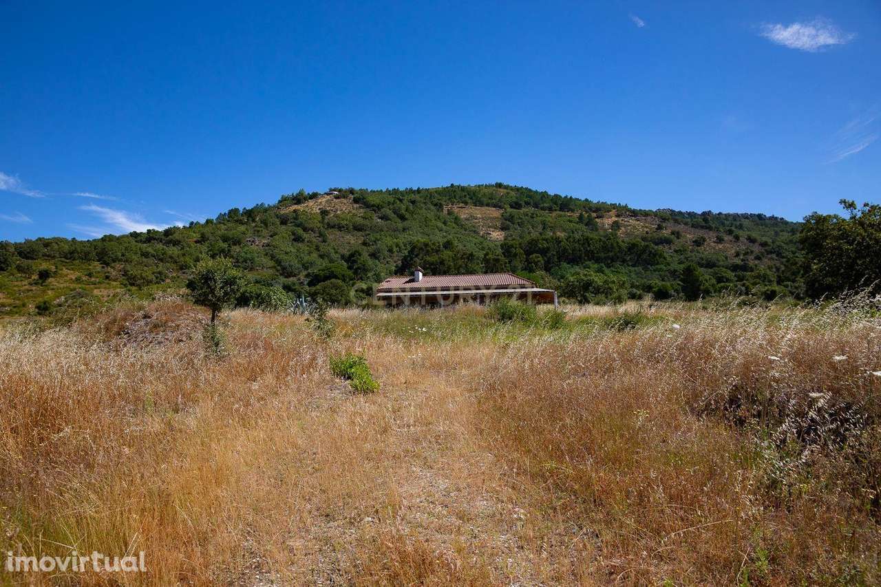 Quinta com 2,5 hectares em Portalegre - Grande imagem: 4/9