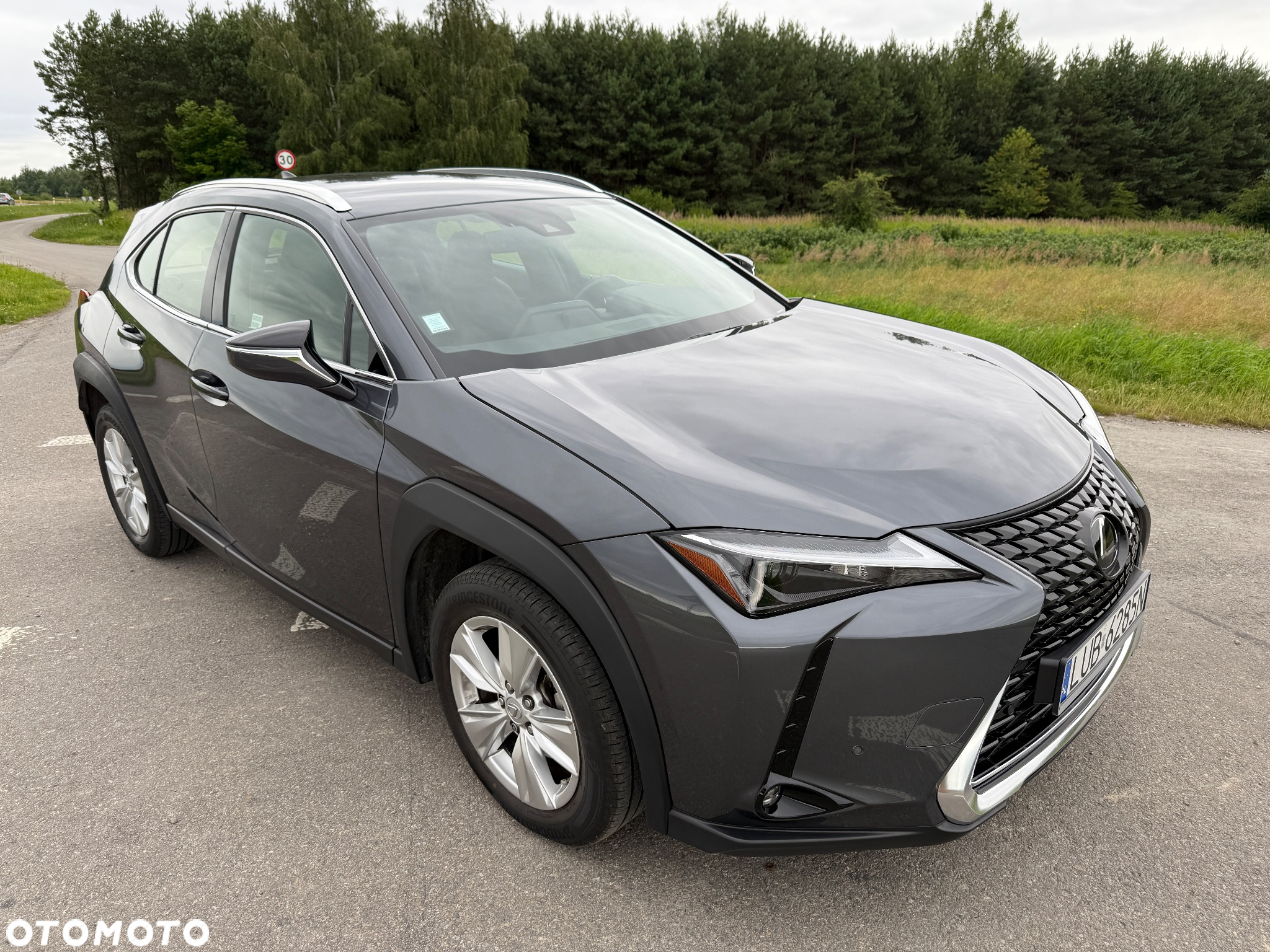 Lexus UX 250h GPF Business 2WD - 13