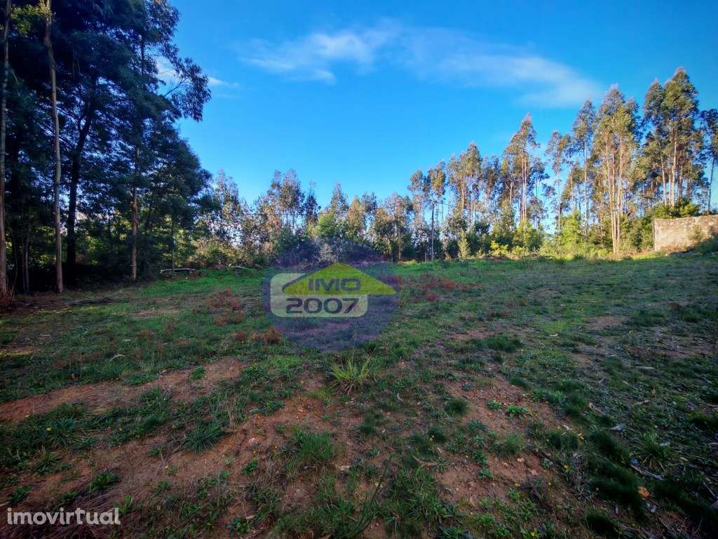 Terreno em Mozelos - Grande imagem: 3/12
