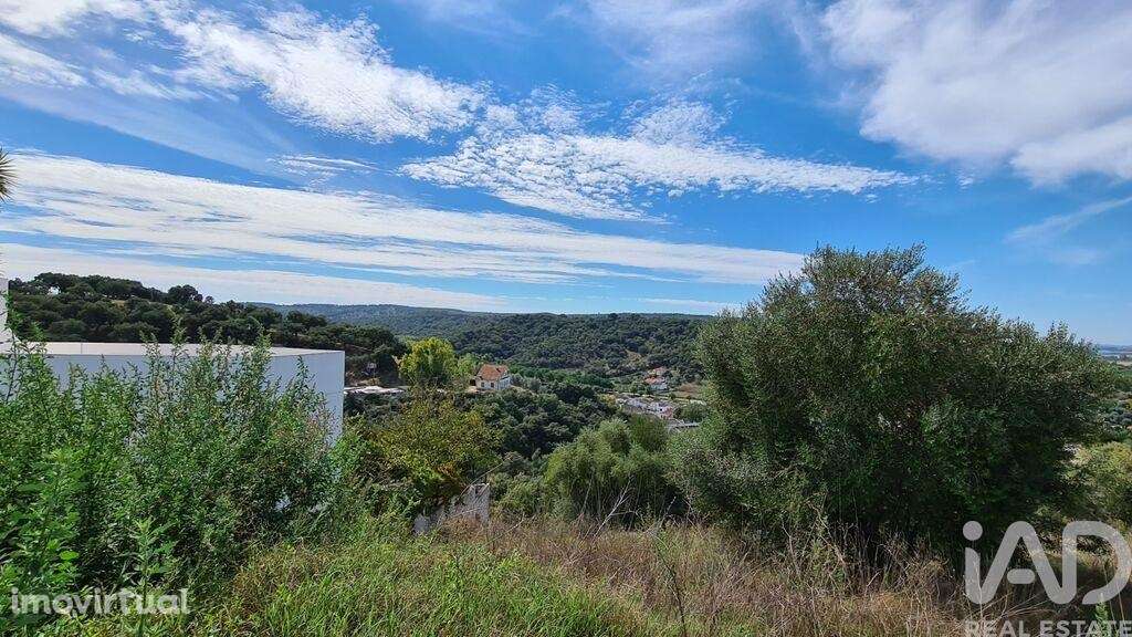 Terreno em Chamusca e Pinheiro Grande de 712,00 m2 - Grande imagem: 2/11