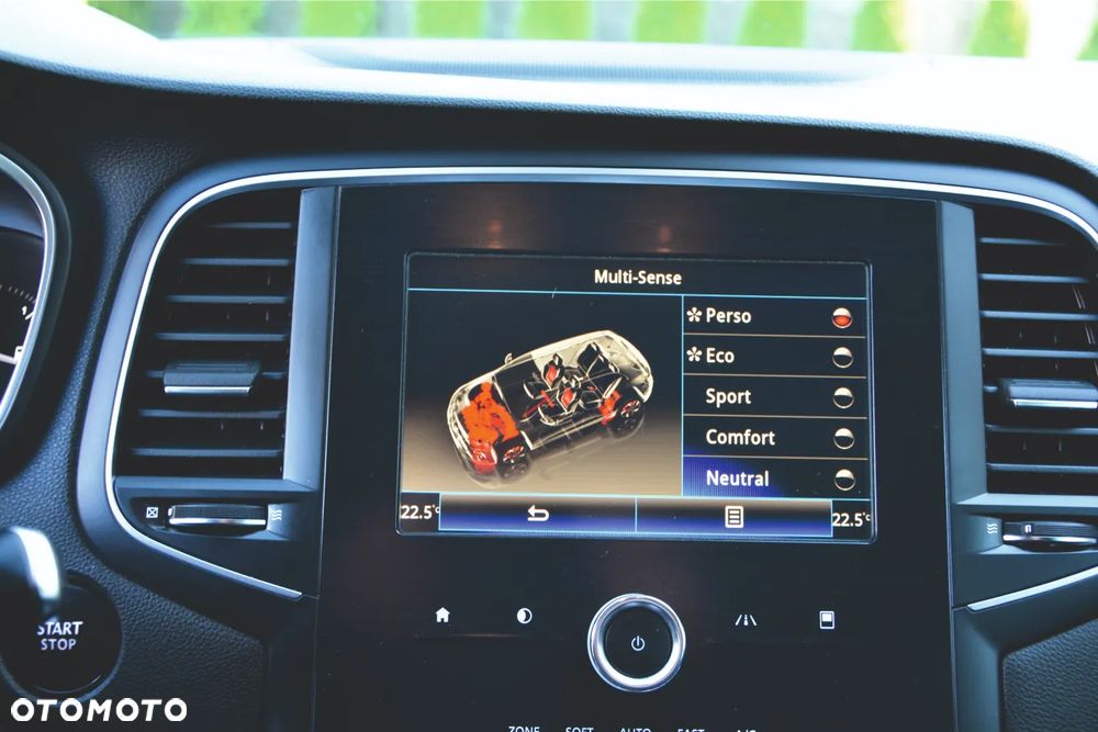 Renault Megane - 19