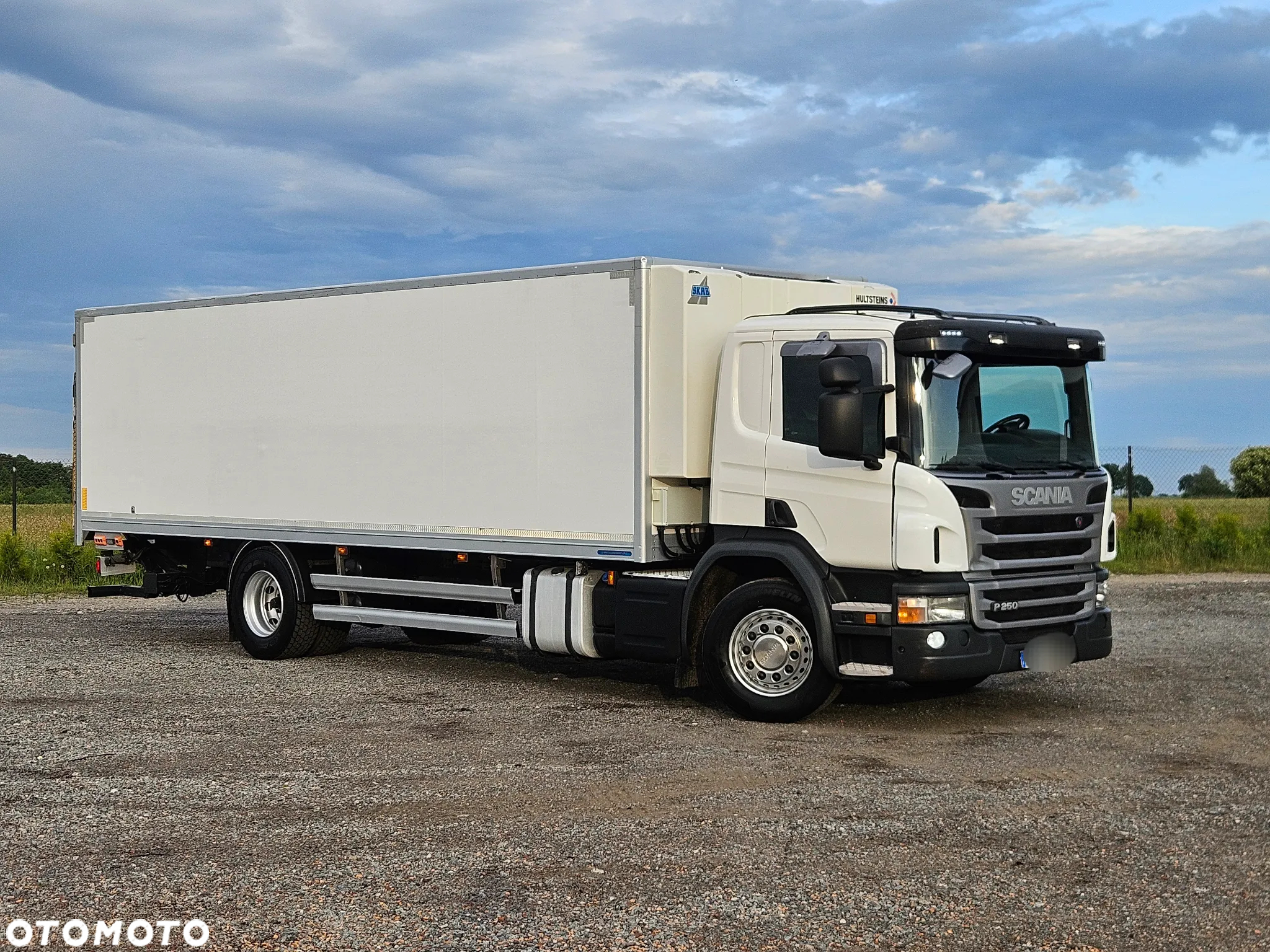 Scania P 250 - 2