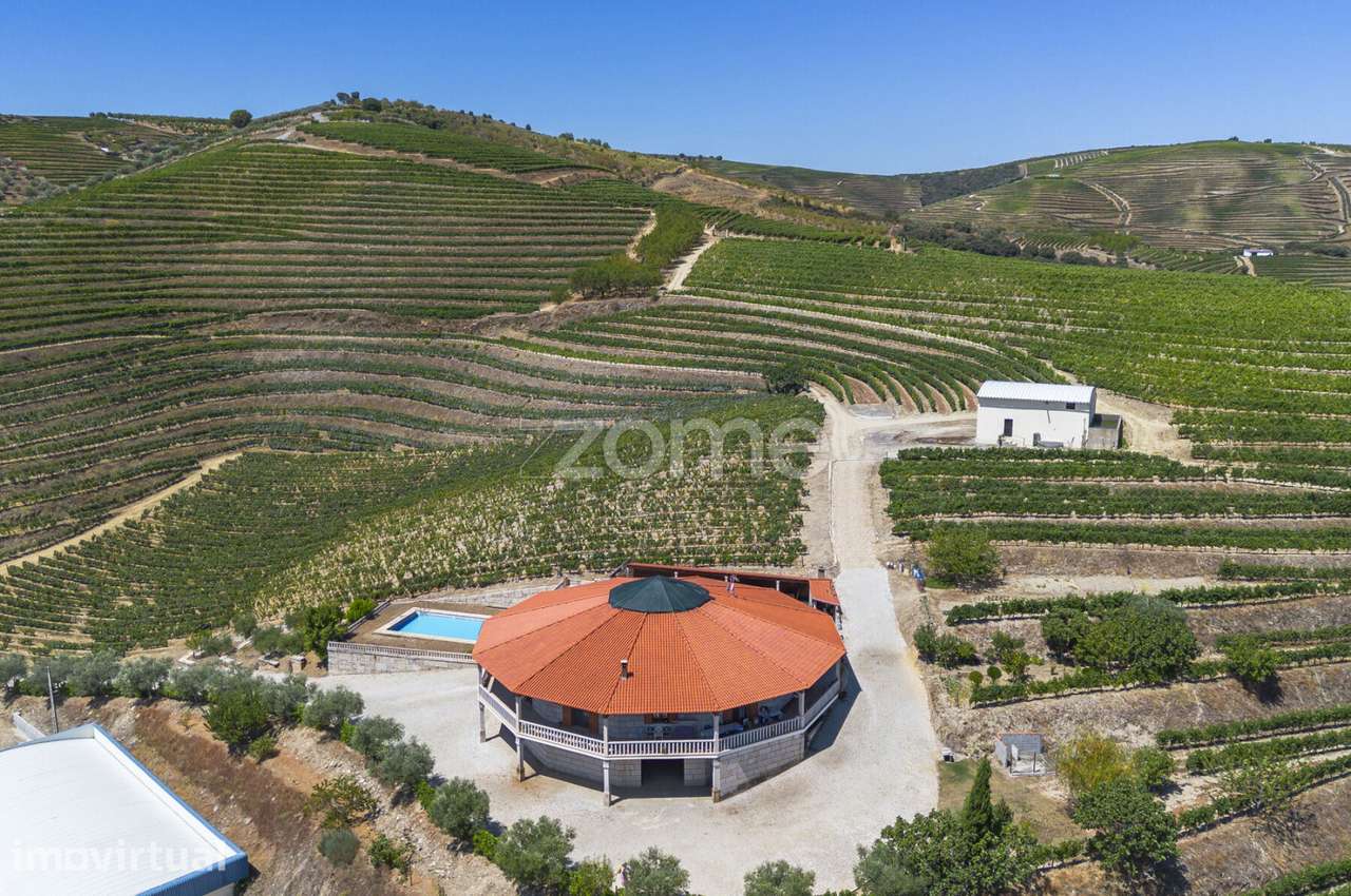 Quinta com casa, piscina e exploração vitivinícola - Grande imagem: 3/60
