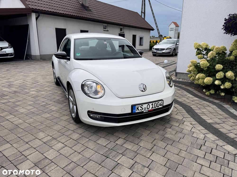 Volkswagen Beetle - 9