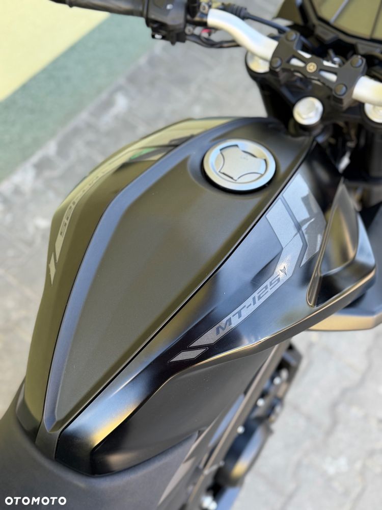 Yamaha MT - 17