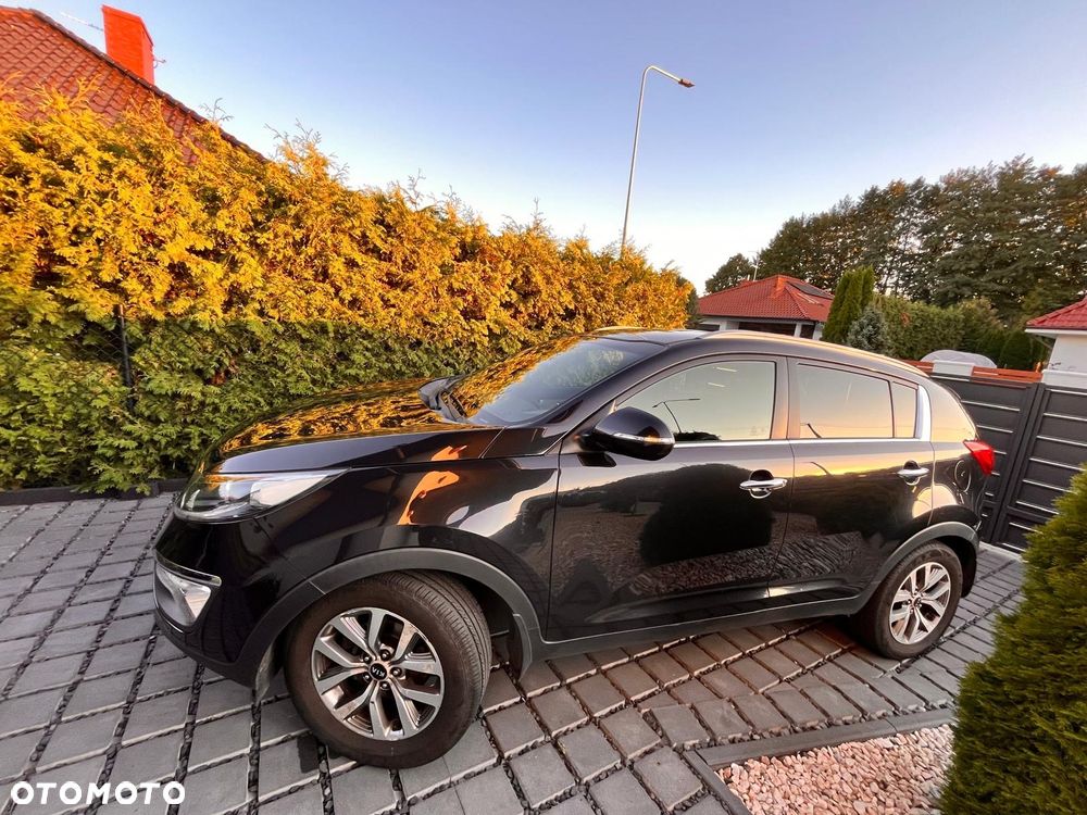 Kia Sportage - 7