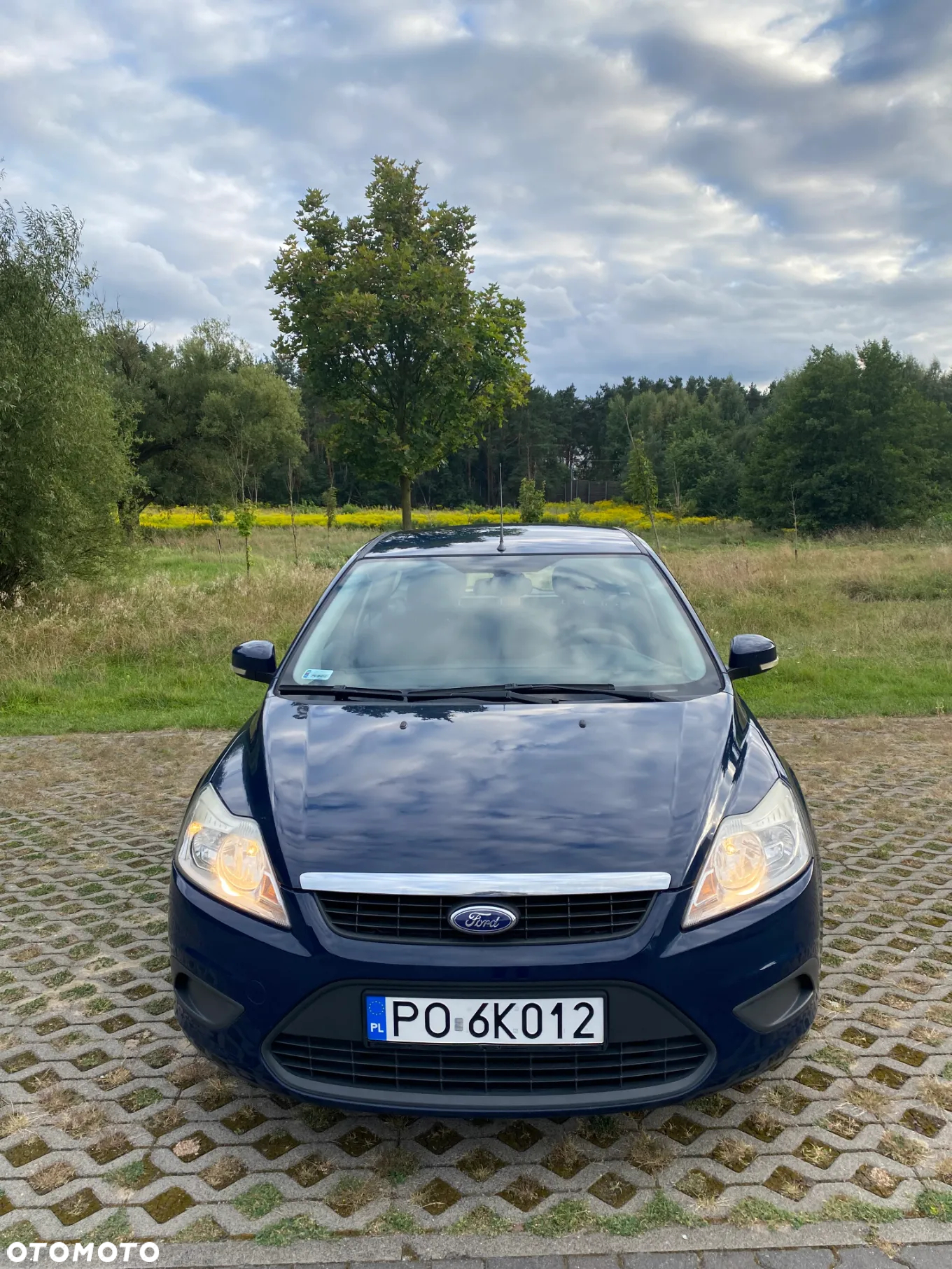 Ford Focus 1.6 TDCi Trend - 6
