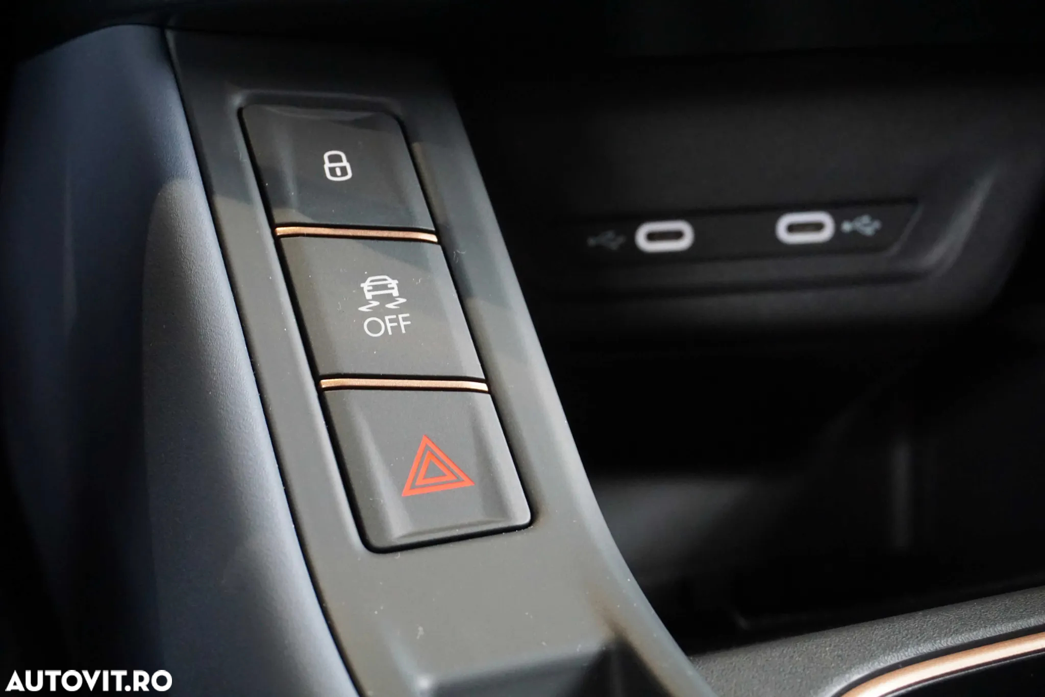 Cupra Terramar - 19