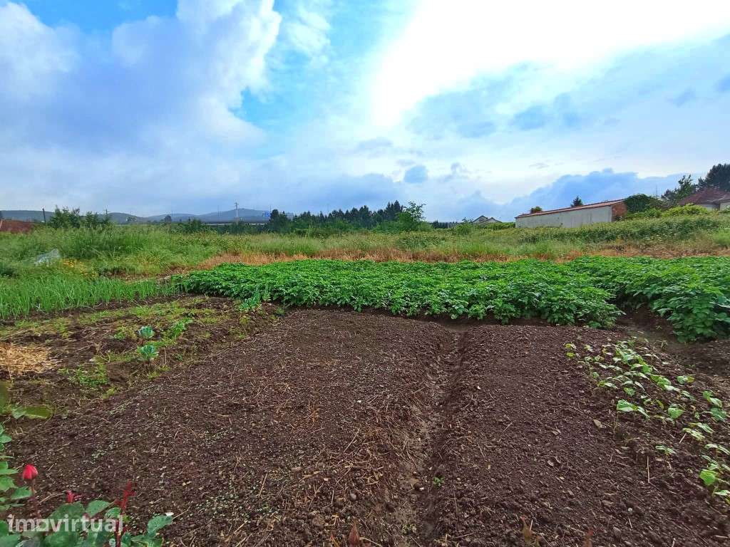 Terreno para 18 moradias em Sobrado - Grande imagem: 4/7