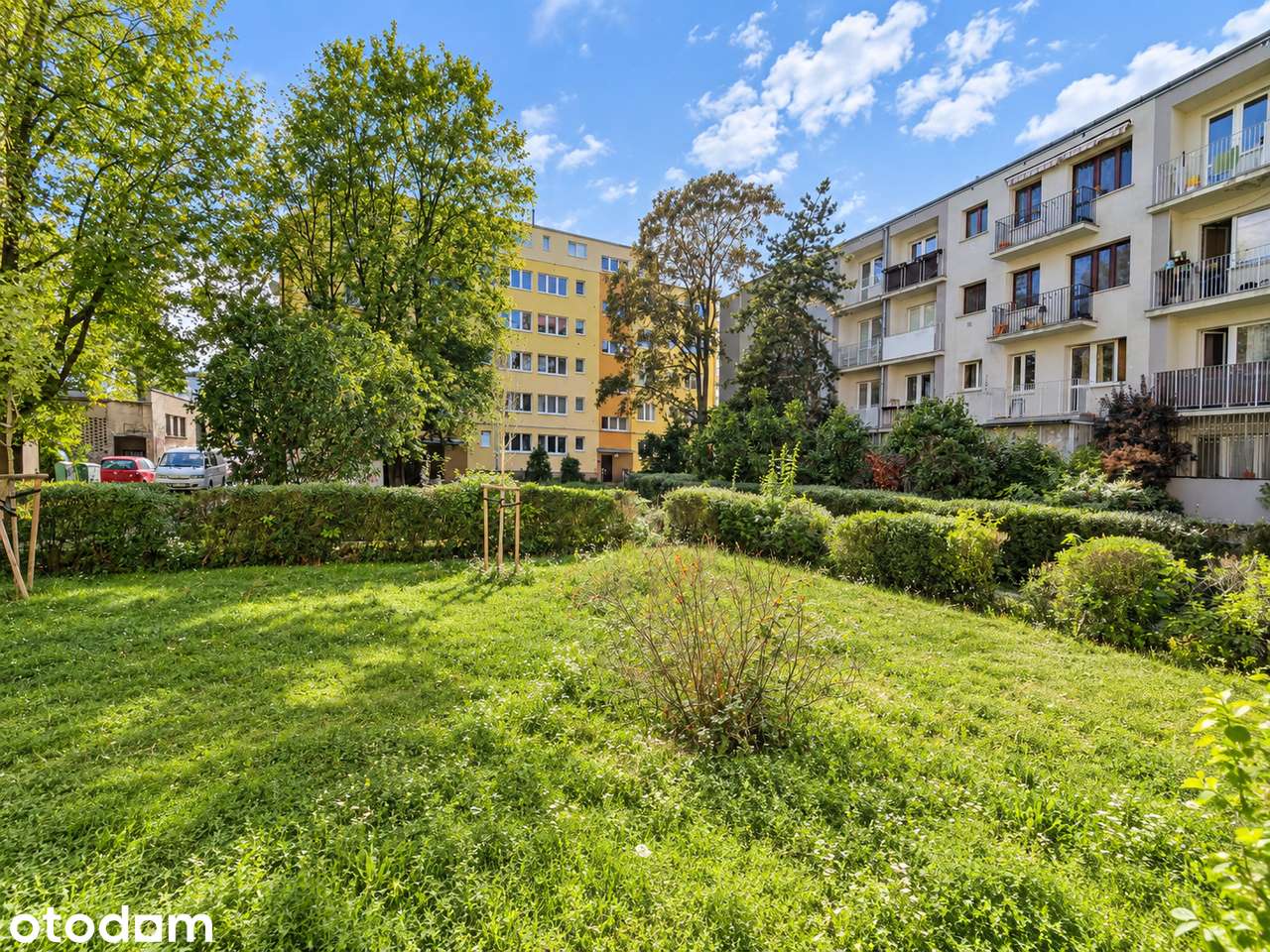Pierwszy najem po remoncie | Balkon | Cisza i zieleń