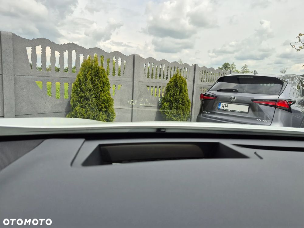 Lexus RX 200t / 300 F Sport - 14