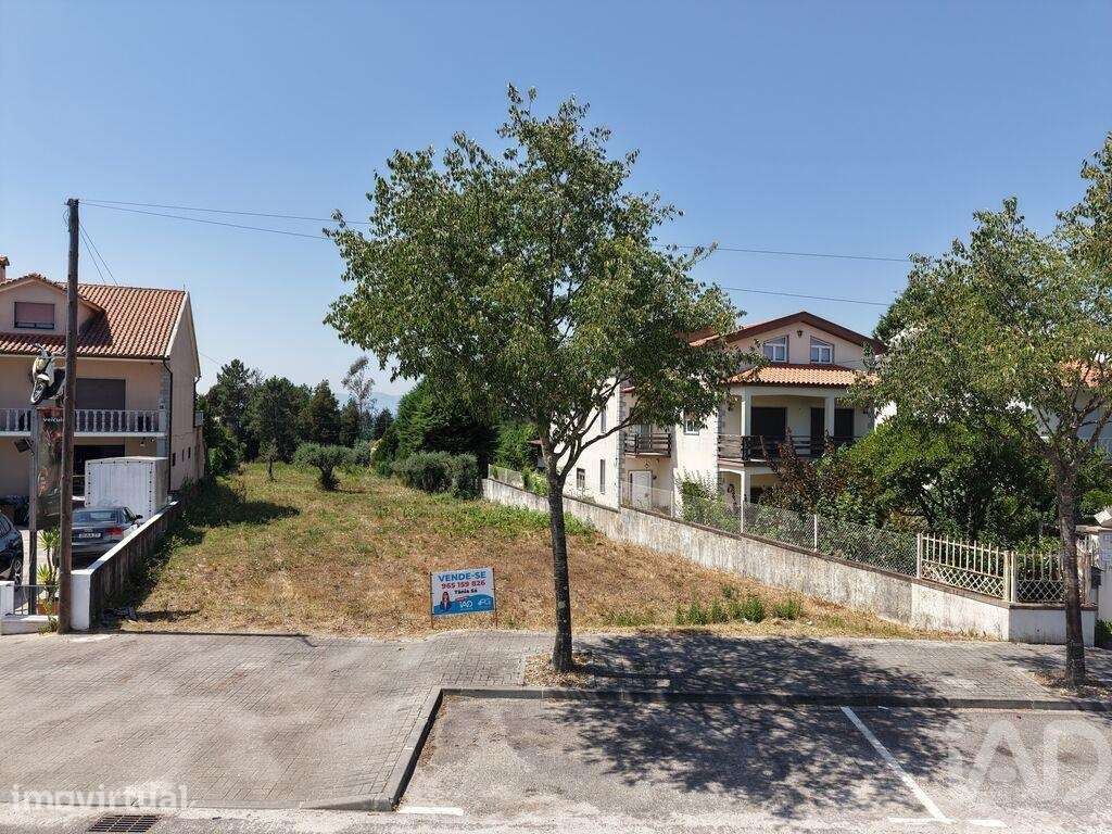 Terreno Agrícola em Carregal do Sal - Grande imagem: 2/8