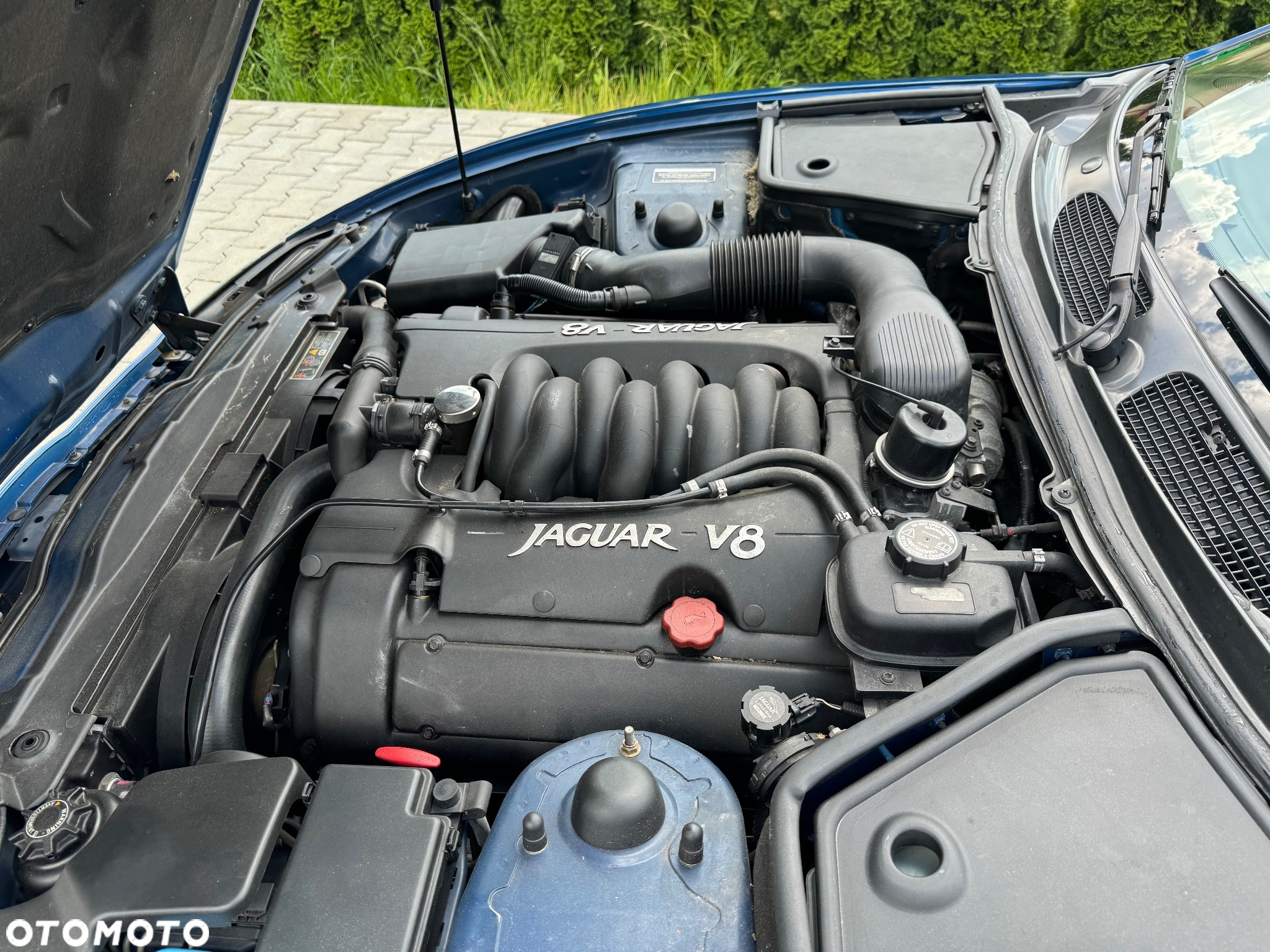 Jaguar XK8 4.0 - 27