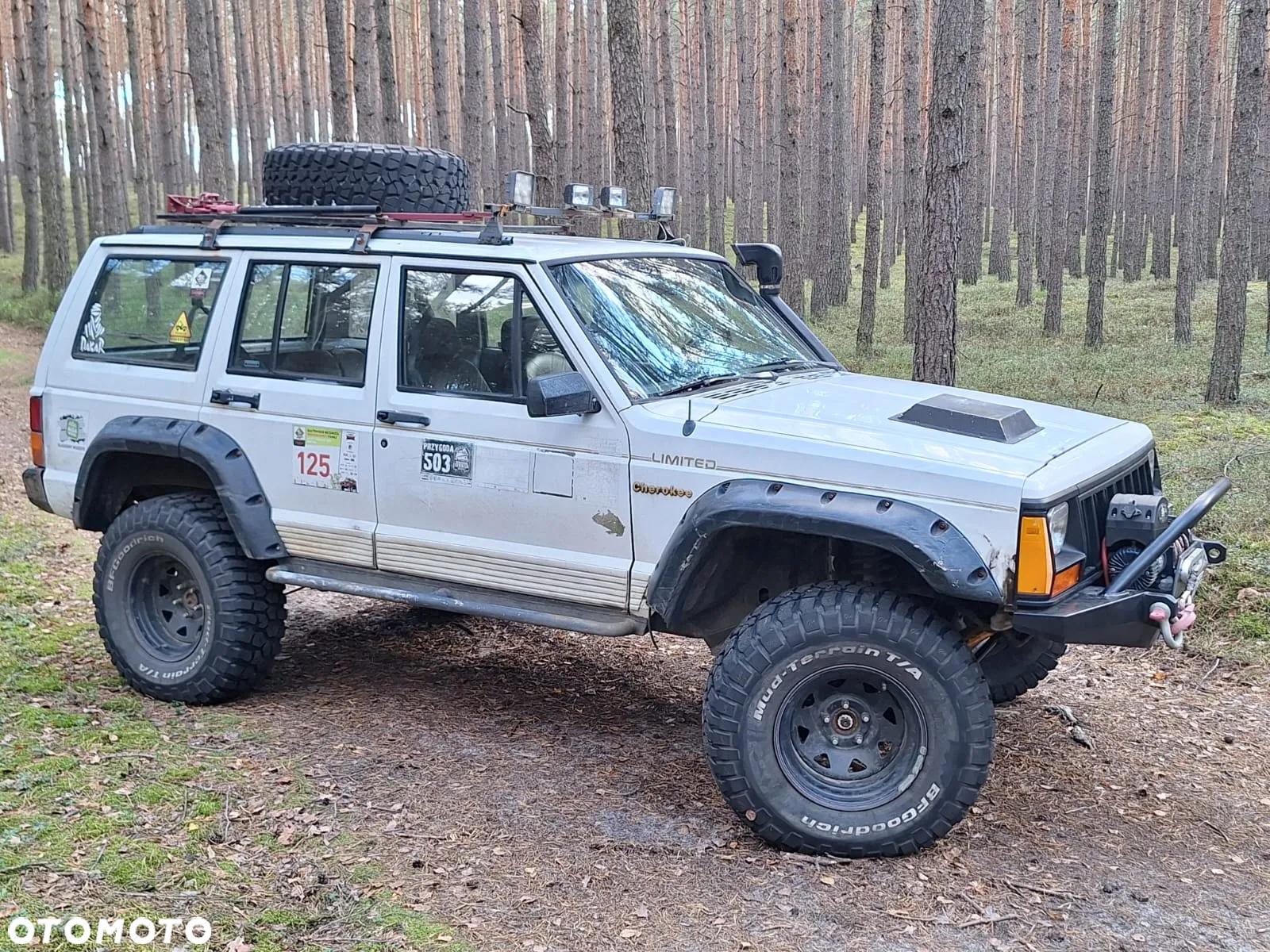 Jeep Cherokee 4.0 Limited - 6