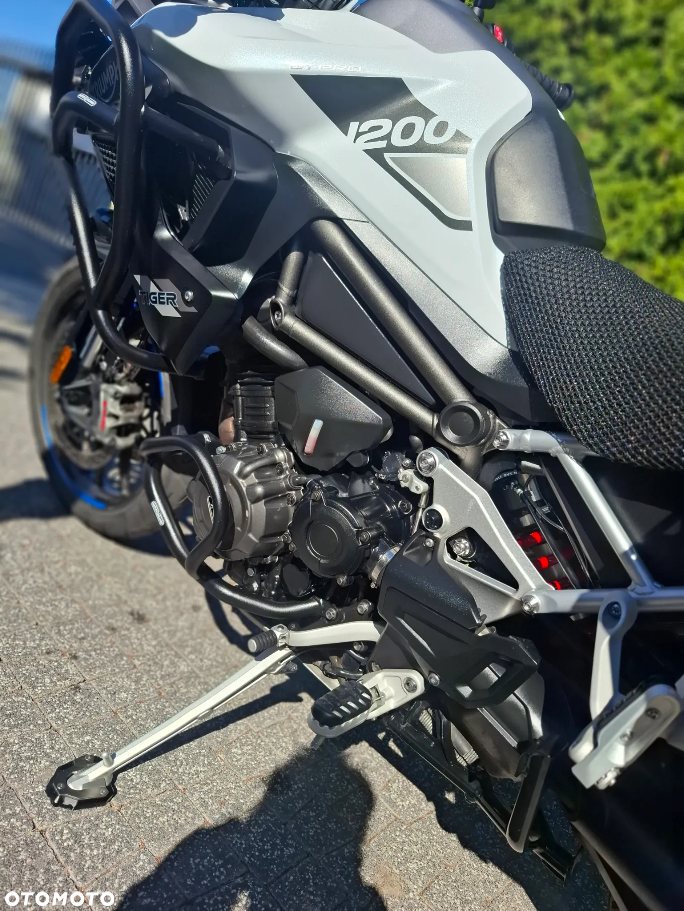 Triumph Tiger - 11