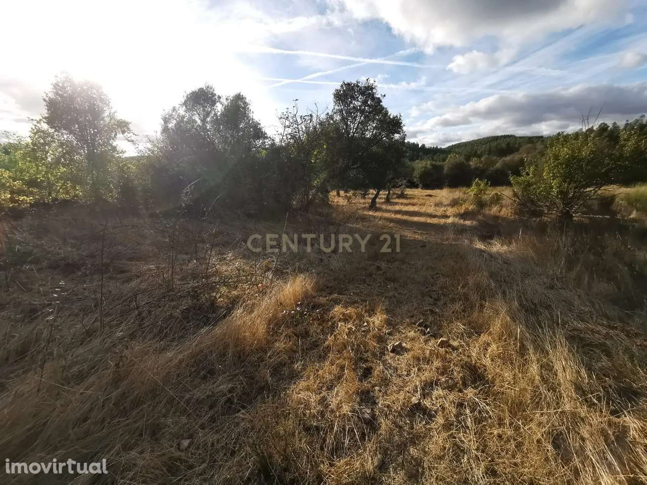 Terreno Rústico em Freixial e Juncal do Campo, Castelo Branco - Grande imagem: 2/8