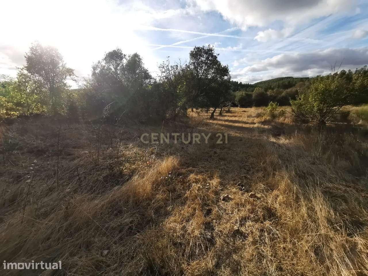 Terreno Rústico em Freixial e Juncal do Campo, Castelo Branco - Grande imagem: 2/8