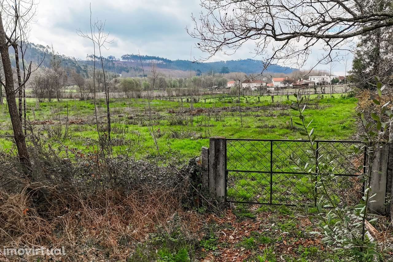 Terreno Rústico  Venda em Associação de freguesias do Vale do Neiva,Po - Grande imagem: 5/23