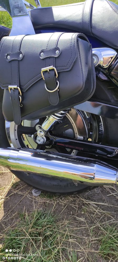 Harley-Davidson Sportster Custom 1200C - 8