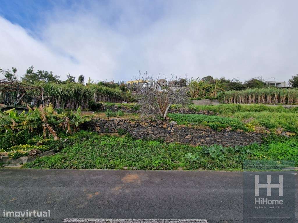 Terreno Rústico no Sítio da Pedra Mole, Ribeira Brava (Madeira) - Grande imagem: 2/16
