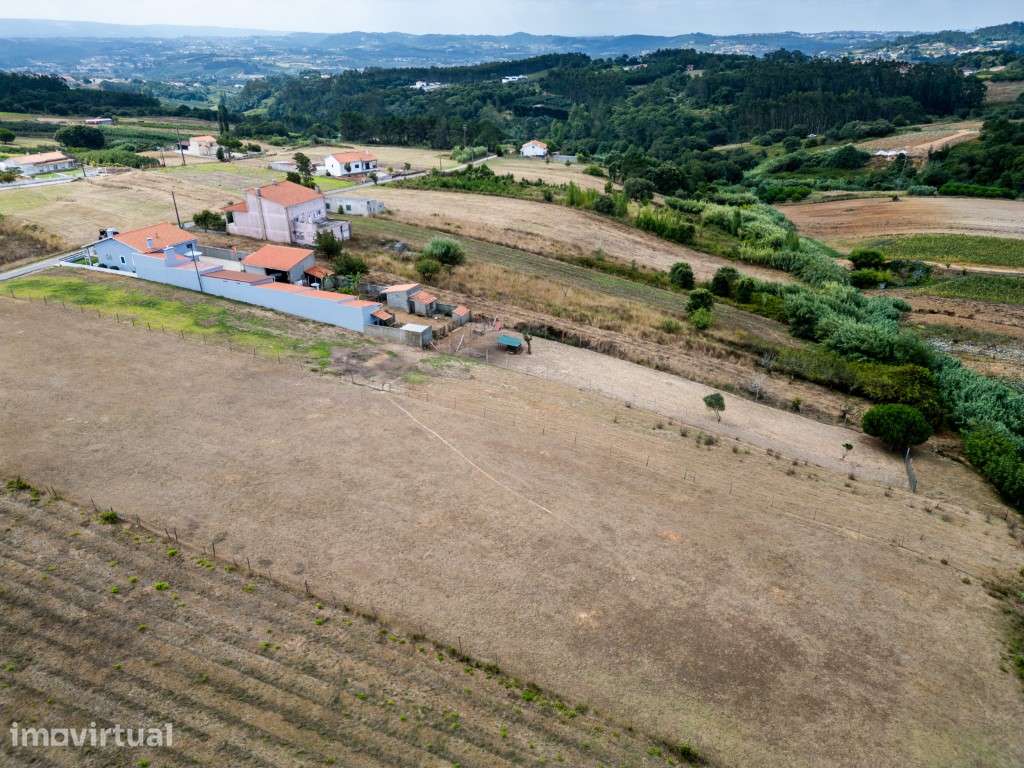 Terreno para construção- Cela nova - Grande imagem: 5/18
