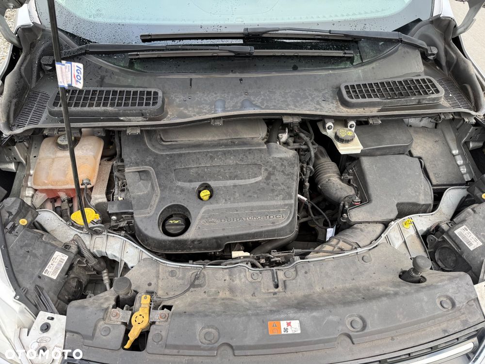 Ford Kuga 2.0 TDCi 2x4 Champions Edition - 24