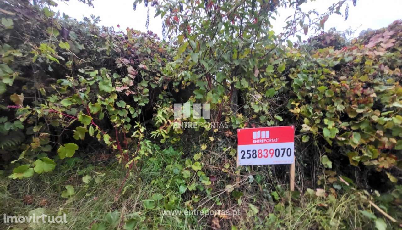 Venda de terreno agrícola, Deocriste, Viana do Castelo - Grande imagem: 2/28