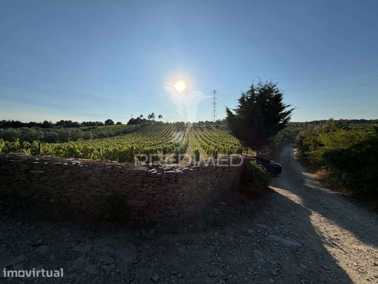 TERRENO EM CANELAS – PESO DA RÉGUA - Grande imagem: 5/14