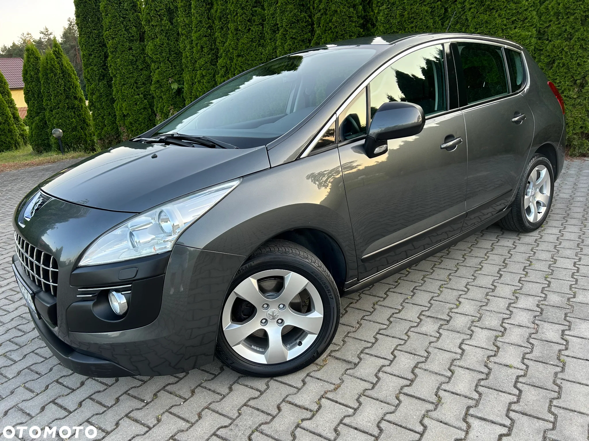 Peugeot 3008 155 THP Platinum - 10