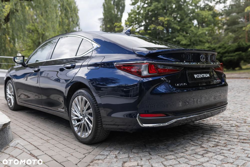 Lexus ES 300h Omotenashi - 9