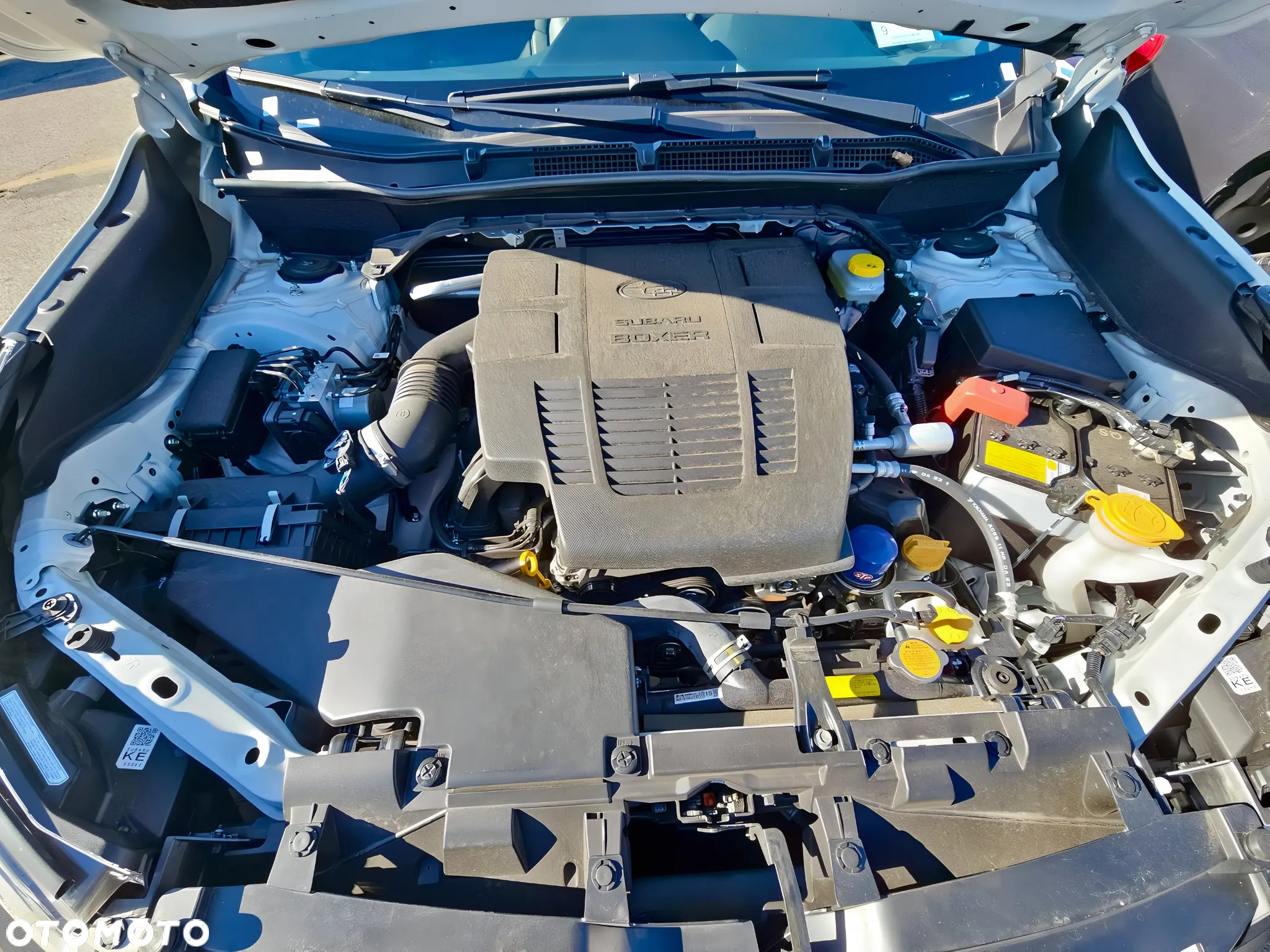 Subaru Forester - 14