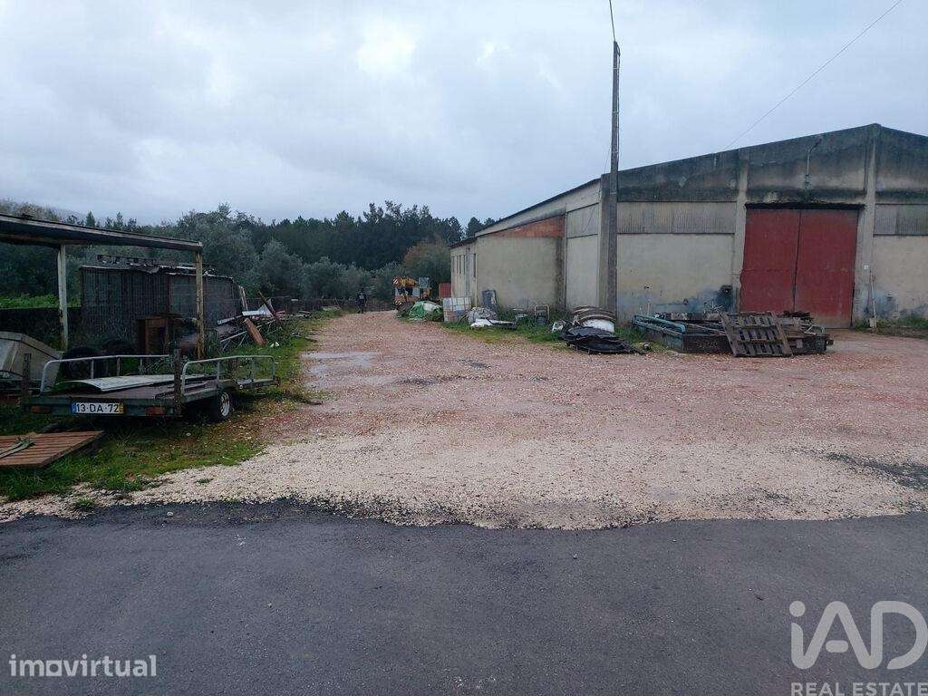 Hangar em Pedreiras de 775,00 m2 - Grande imagem: 3/16