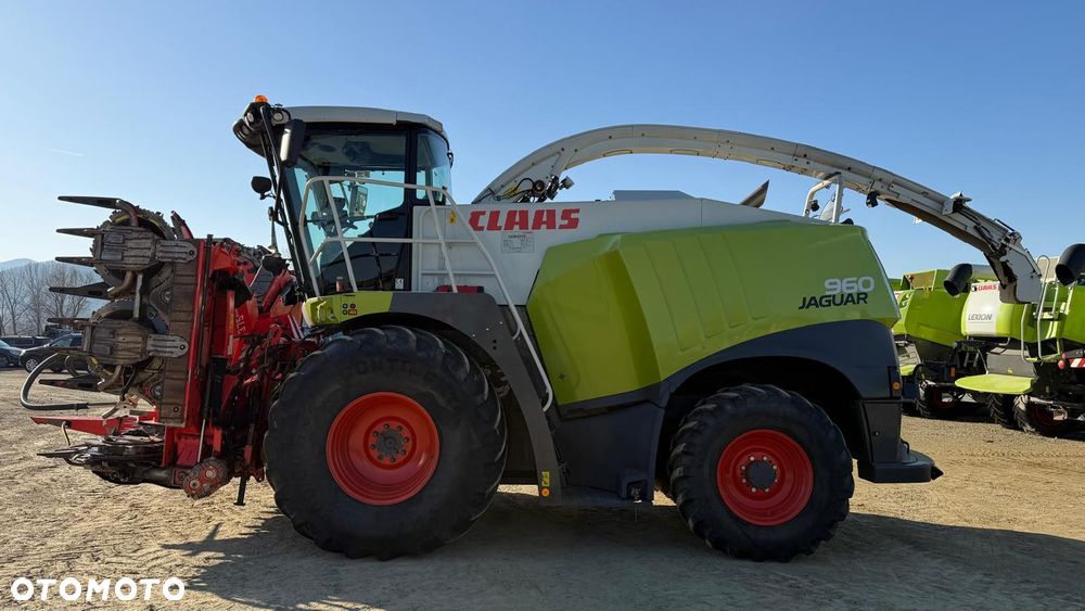 Claas Jaguar 960 - 6