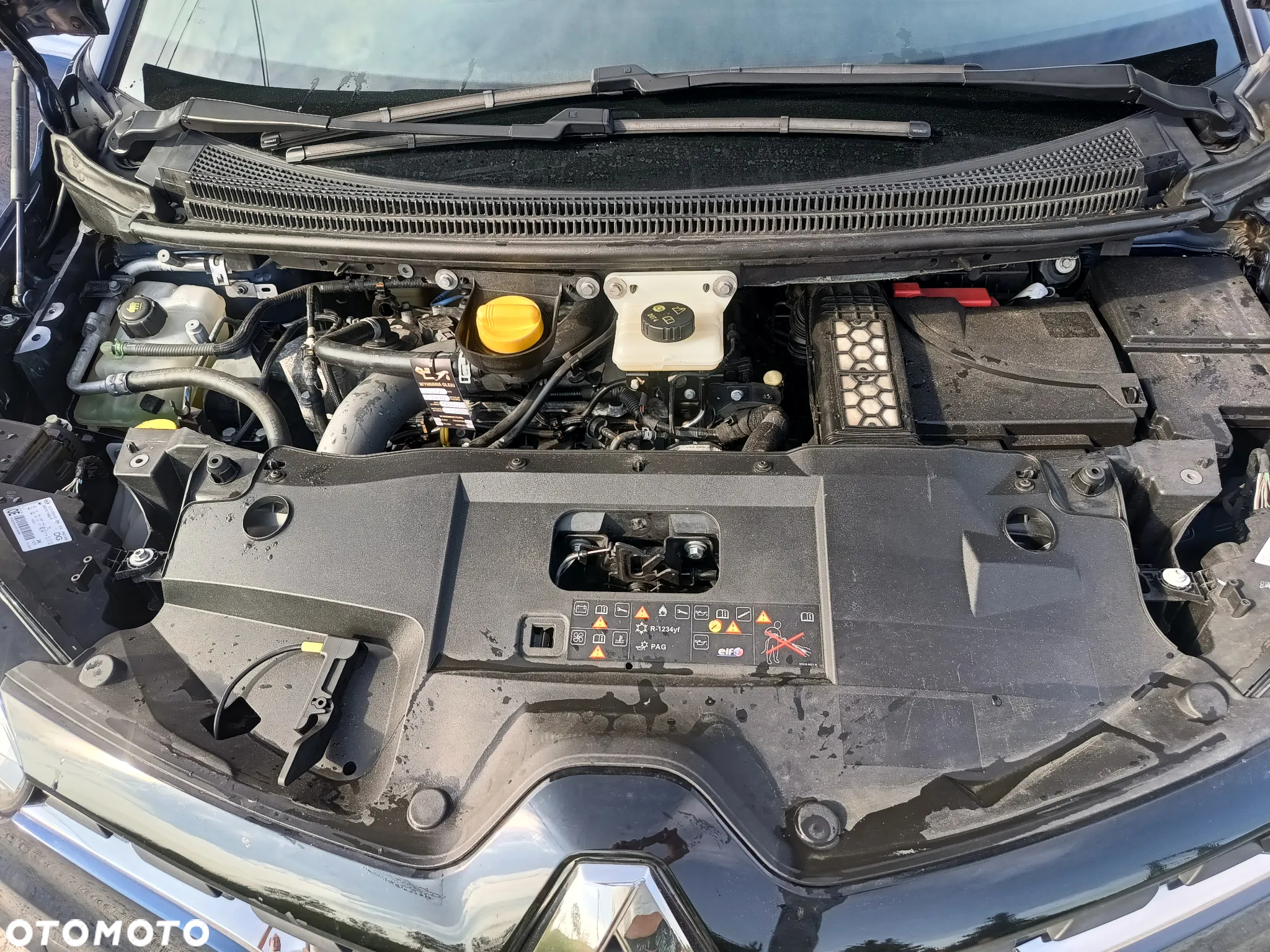 Renault Scenic - 14