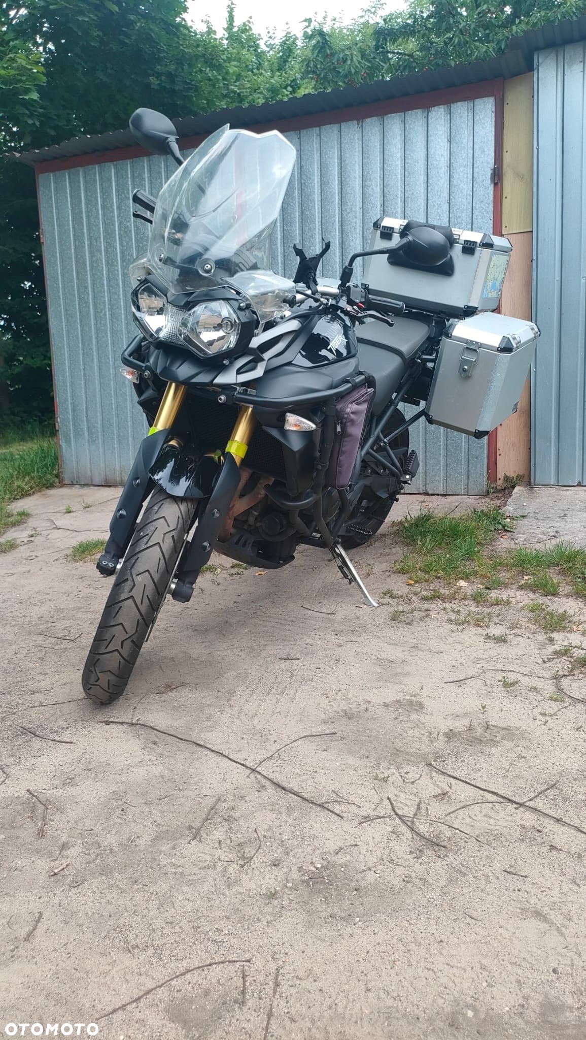 Triumph Tiger - 1