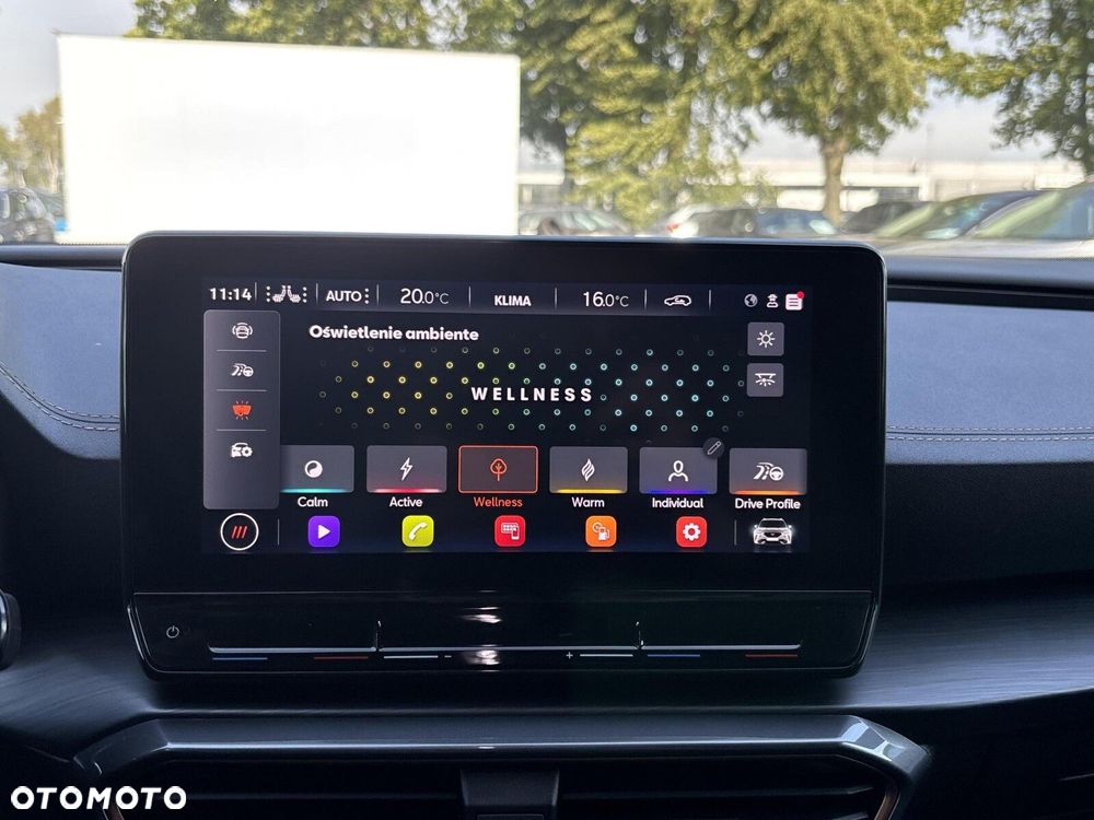 Cupra Formentor 1.5 TSI DSG - 25