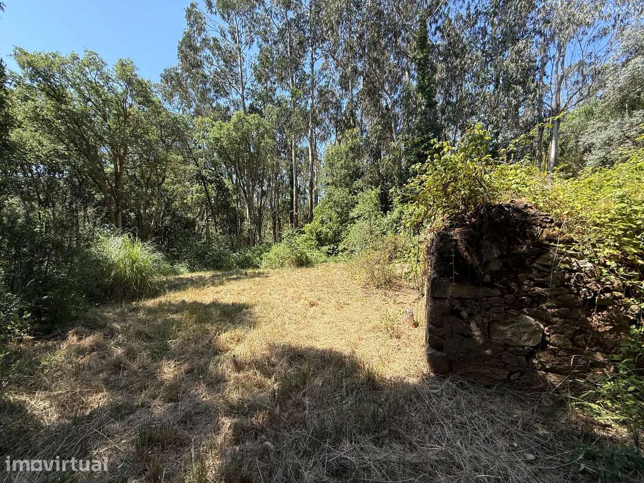 Refúgio rural isolado! Terreno de 3.920 m2 com ruína - a 10 min Óbidos - Grande imagem: 5/10