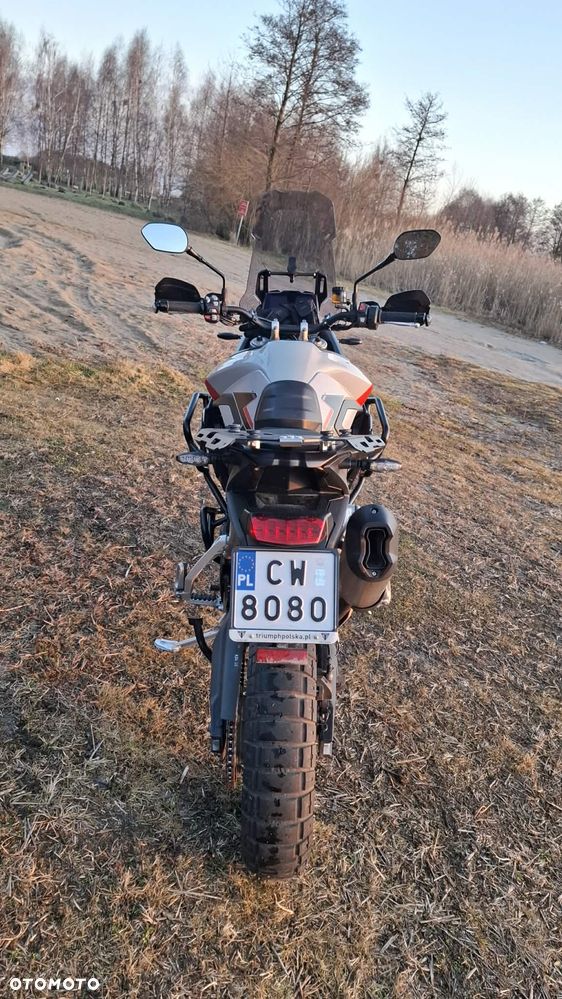 Triumph Tiger - 11
