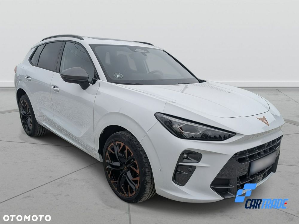 Cupra Terramar - 10
