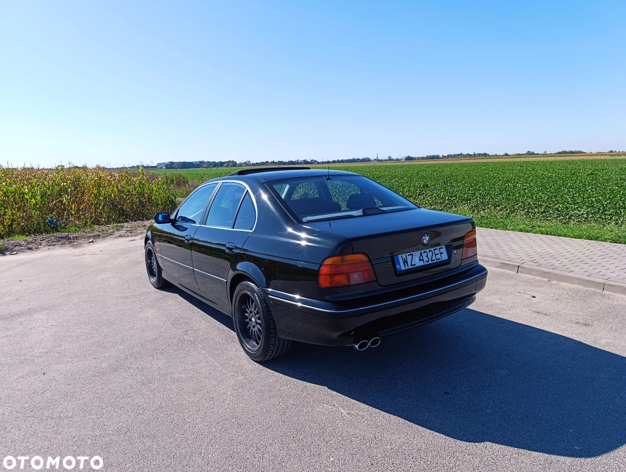 BMW Seria 5 523i - 6