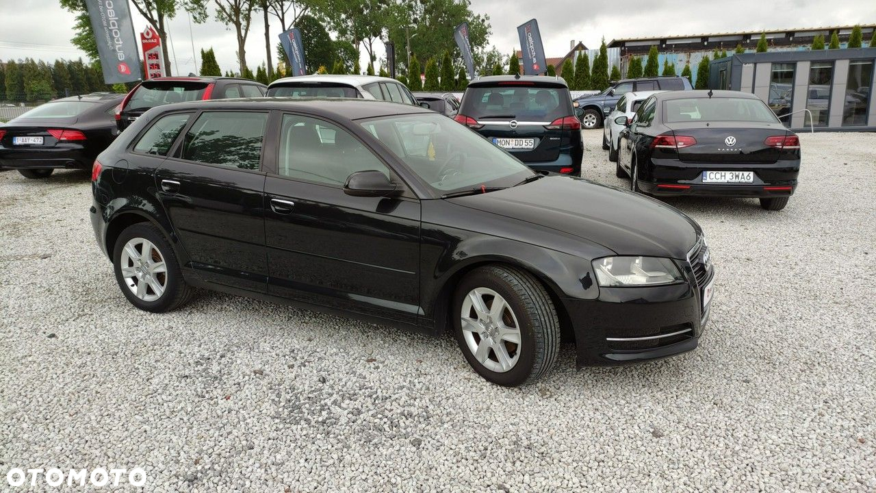 Audi A3 1.6 TDI DPF Attraction - 17