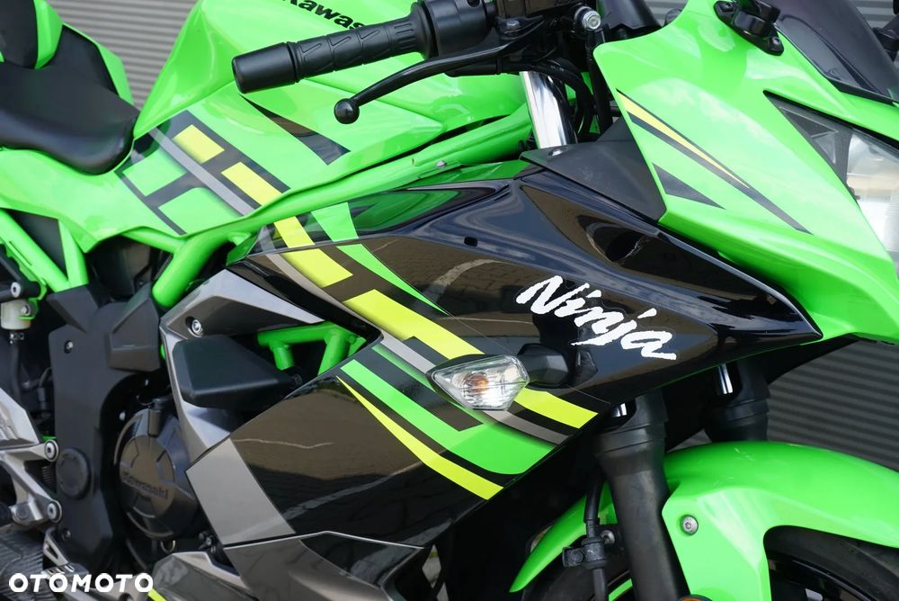 Kawasaki Ninja - 15