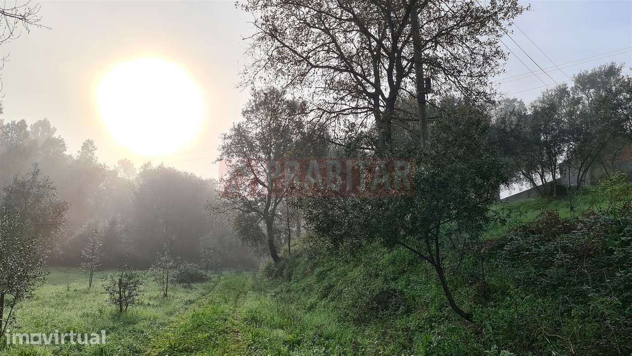 TERRENO EM ZONA HABITACIONAL COM 7.460M2 - Grande imagem: 5/5