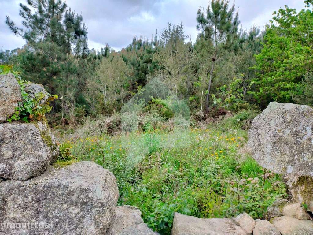 Terreno Urbano em Vilar de Figos, Barcelos - Grande imagem: 3/31
