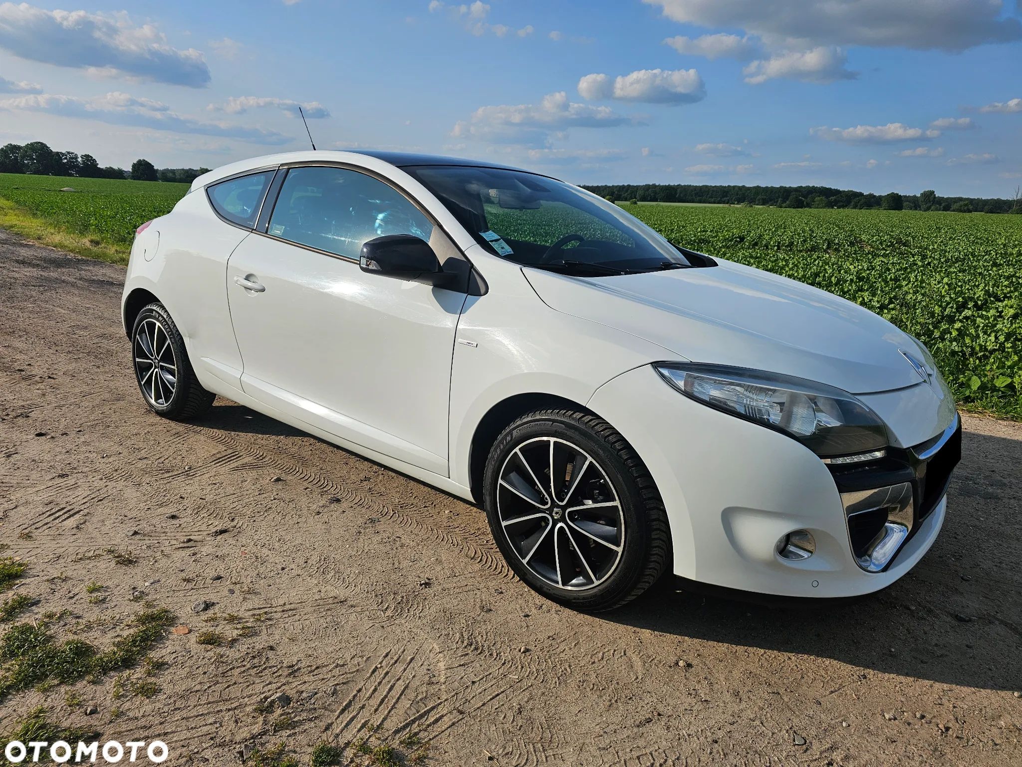 Renault Megane 1.6 dCi Energy Limited - 1