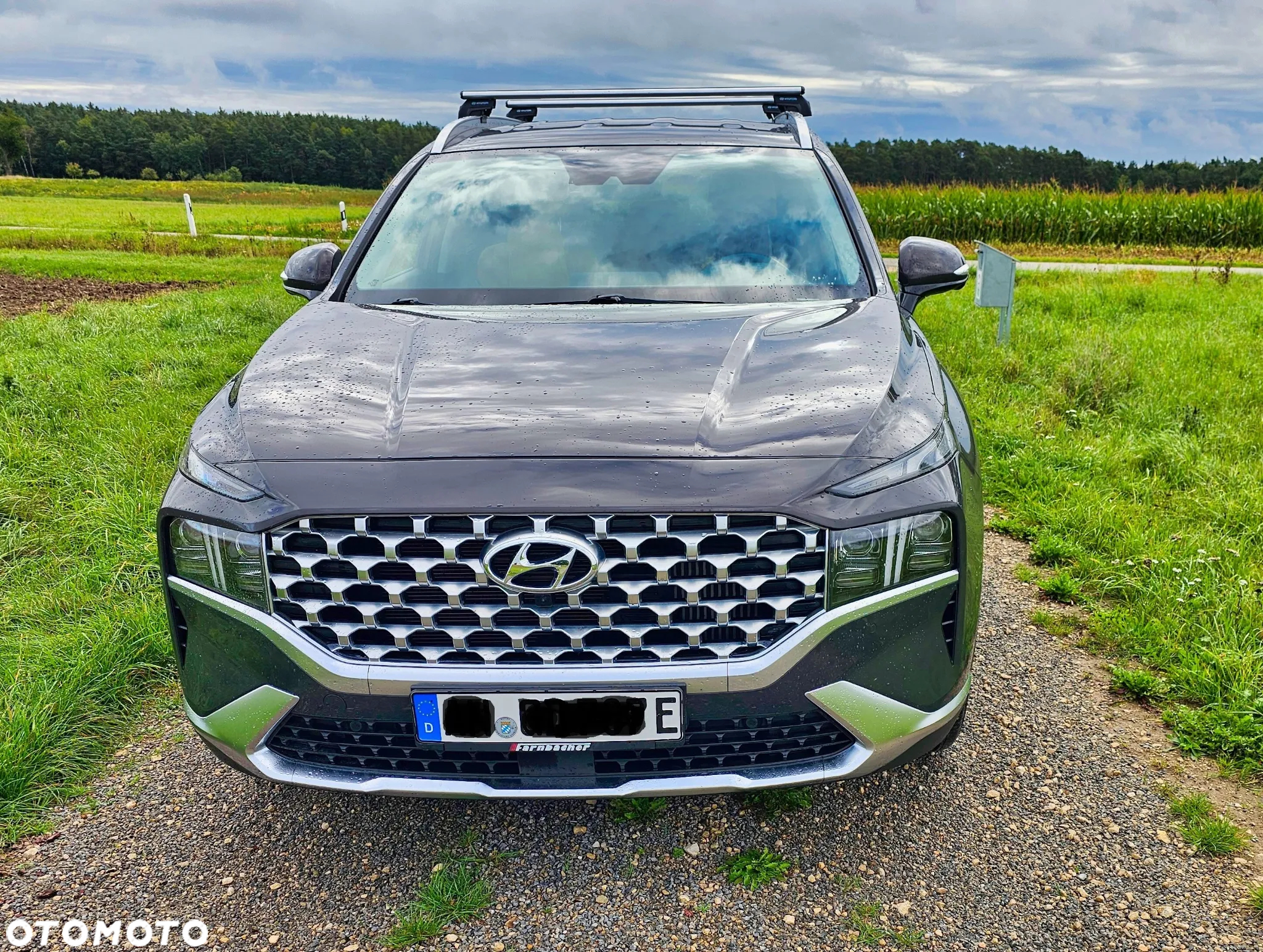 Hyundai Santa Fe 1.6 T-GDI PHEV Executive 4WD - 2