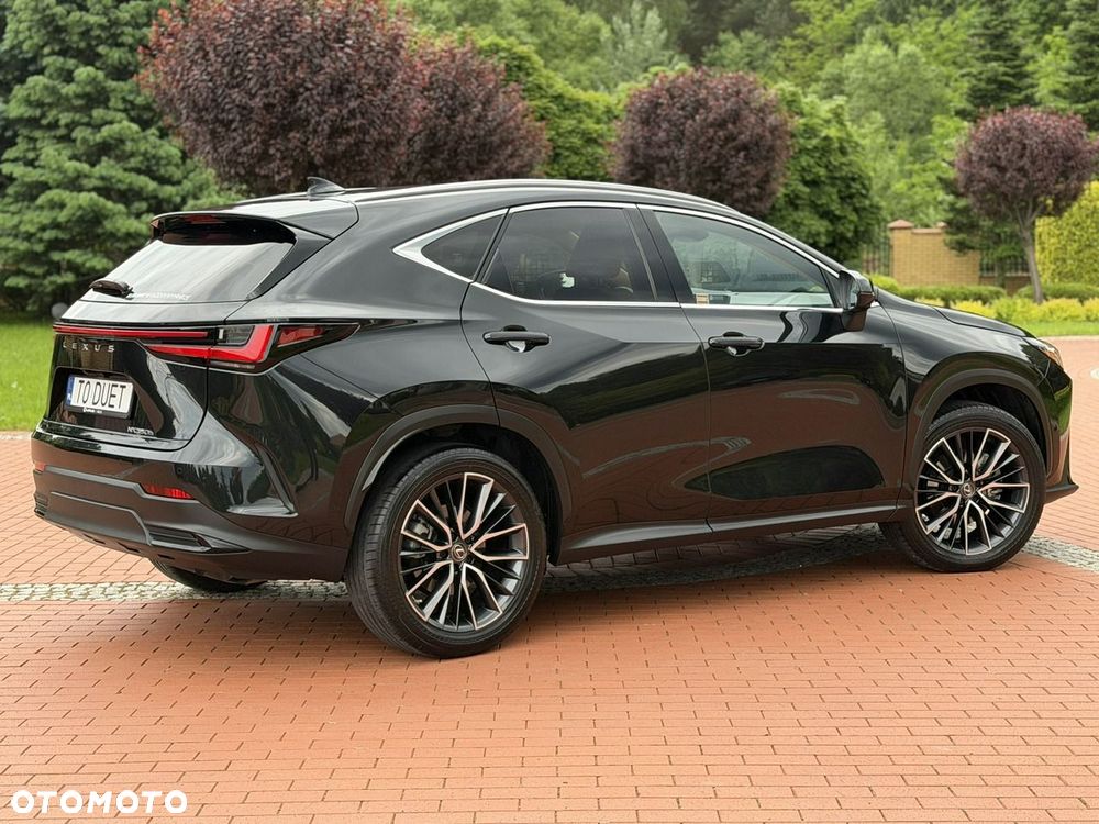 Lexus NX - 11