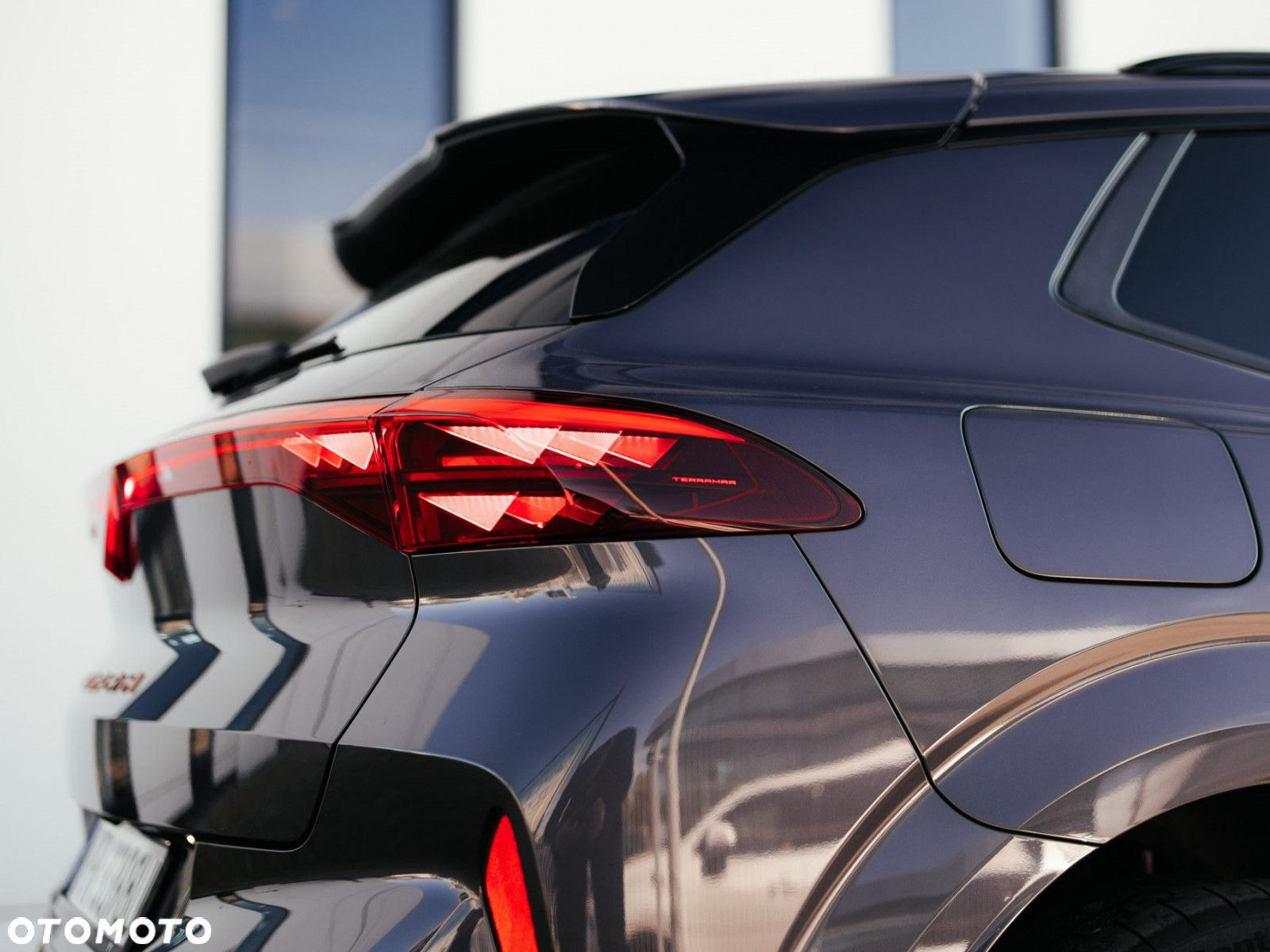 Cupra Terramar - 8